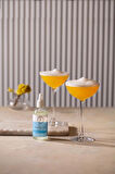 COCKTAIL FOAM WHITE