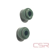 SUPAP KEÇESİ CG TK