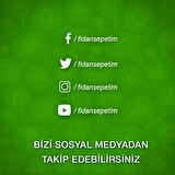 2 Yaş Chandler Çeşiti Yaban Mersini Fidanı
