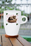 Yeni Yıl Uykucu Kedi Baskılı Kupa Bardak Porselen Latte Filtre Kahve Fincanı