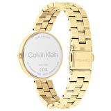 Calvin Klein CK25100014 Kadın Kol Saati