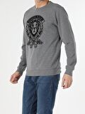 Regular Fit Erkek Antra Melanj Sweatshirt