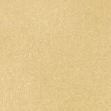 Regular Fit Bisiklet Yaka Basic Sarı Erkek Kısa Kol Tişört Cl1058592