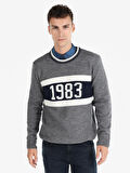 Regular Fit Baskılı Hooded Gri Erkek Kazak