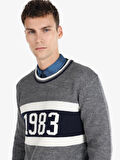 Regular Fit Baskılı Hooded Gri Erkek Kazak
