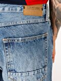 067 Jack Regular Fit Orta Bel Düz Paça Mavi Erkek Jean Pantolon Cl1066359