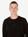 Antrasit Erkek Sweatshirt