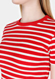 Slim Fit Yuvarlak Yaka Çizgili Kadın Kirmizi Kısa Kol Tişört Cl1073208