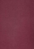 Regular Fit Yuvarlak Yaka Düz Erkek Mor Kısa Kol Tişört Cl1073961