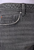 Regular Fit Orta Bel Düz Erkek Siyah Jean Şort