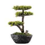 Calipso Bonsai-6 Masaüstü Kullanıma Uygun Doğal Ağaç Gövdeli Mini Yapay Bonsai Ağacı - 30x30 Cm