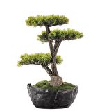 Calipso Bonsai-6 Masaüstü Kullanıma Uygun Doğal Ağaç Gövdeli Mini Yapay Bonsai Ağacı - 30x30 Cm
