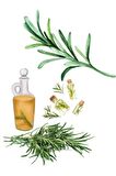 Biberiye Yağı 30 ml 100% Saf Ve Doğal