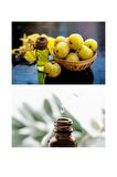 Amla Yağı 30 ml 100% Saf Ve Doğal