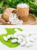 Peeling Kozası 10 Adetli