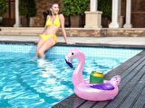 Flamingo & Tavus Kuşu Şekilli Bardaklık