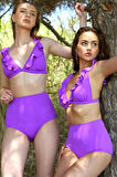 Giyim Kadın Fırfırlı Yüksek Bel Mor Bikini
