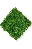 YAPAY ÇAMDALI BİTKİ DUVAR KAPLAMA 50X50 CM AÇIK YEŞİL