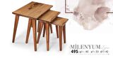 MİLENYUM ZİGON SEHBA