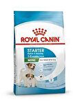 Royal Canin Mini Starter Mother & Babydog Anne ve Yavru Köpek Maması 4kg