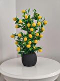 Limon Ağacı Mutfak Süsü 50 Cm Antrasit Saksıda