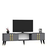 ASEL TV SEHPASI (ALT MODÜL) ANTRASİT-ALTIN