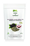 Herbs & Harmony Blackberry Leaves Herbal Tea Böğürtlen Yaprağı Bitki Çayı 150 gram