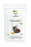 Herbs & Harmony Chaste Tree Herbal Tea Hayıt Tohumu Bitki Çayı 150 gram