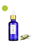 Herbs & Oils Eucalyptus Oil Okaliptüs Yağı 50 ml