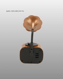 Kablosuz Retro Radyo Hoparlör 5W Güçlü Ses USB Hafıza Kart Destekli Yeni Nesil