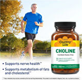 Country Life Choline Nerve Health 266 mg 100 Tablet