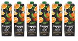 Cappy %100 Portakal Meyve Suyu 1 Lt X 6 Adet