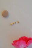 Gold Renk Arkası Düz 316 L Çelik Piercing Tragus Helix Kıkırdak Lob Dudak 8 mm