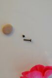 Siyah Renk Arkası Düz 316 L Çelik Piercing Tragus Helix Kıkırdak Lob Dudak 8 mm