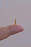 Gold 2 mm Küçük Toplu Çelik Piercing Tragus Helix Kıkırdak Lob Conch Burun Minimal Ürün