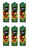 Cappy Atom Ballı Karışık Meyve Nektarı 1 Lt X 6 Adet