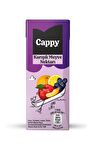 Cappy Bahçe Karışık Meyve Nektarı 200 Ml X 27 Adet