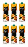 Cappy Bahçe Kayısı Nektarı 1 Lt X 6 Adet