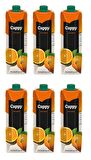 Cappy Bahçe Portakallı İçecek 1 Lt X 6 Adet