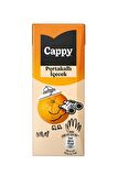 Cappy Bahçe Portakallı İçecek 200 Ml X 27 Adet