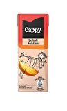Cappy Bahçe Şeftali Nektarı 200 Ml X 27 Adet
