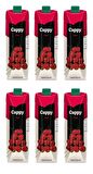 Cappy Bahçe Vişne Nektarı 1 Lt X 6 Adet