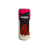 Cappy Bahçe Vişneli İçecek 330 Ml