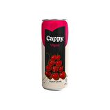 Cappy Bahçe Vişneli İçecek 330 Ml X 12 Adet