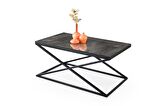Çapraz Metal Dikdörtgen Orta Sehpa 100x60cm