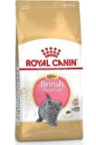 British Shorthair Kitten Yavru Kedi Maması 2 Kg