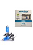 H7 Beyaz Işık Ampul 12v 5000k