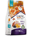 PETLOVEBUTİK PUMPKIN TAHILSIZ KUZU & BÖĞÜRTLEN 10KG YETİŞKİN KEDİ MAMASI