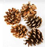 KOZALAK ÇAM AĞACINDAN DOĞAL DEKOR VE BOYAMA İÇİN UYGUNDUR