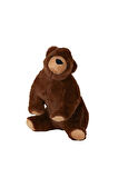Erkek Çocuk Oyuncak 0983 Boz Ayı -My Frien Toys Kız Çocuk Eğitici Oyuncaklar